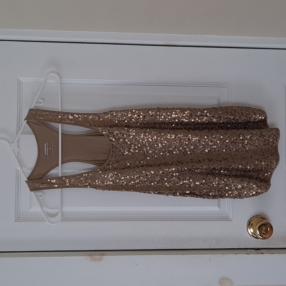 EXPRESS Top Sleeveless Tank XS Sequins Gold